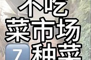 神塔的作用！戈贝尔抢下6个进攻篮板 太阳全队合计只抢了3个